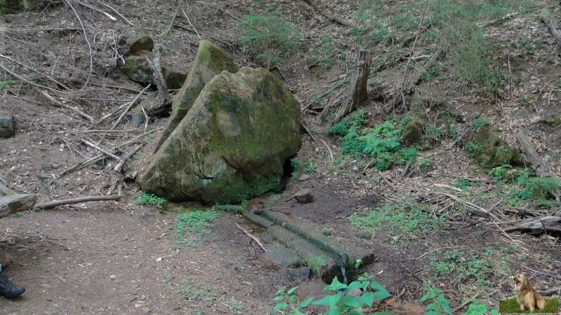 Ritterstein Nr. 148-3 Protztalbrunnen.JPG -  Ritterstein Nr.148  Protztalbrunnen                               